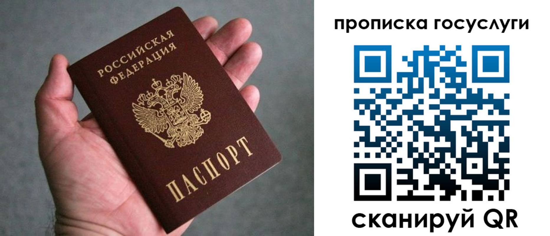 прописка 2025 в Новомосковске